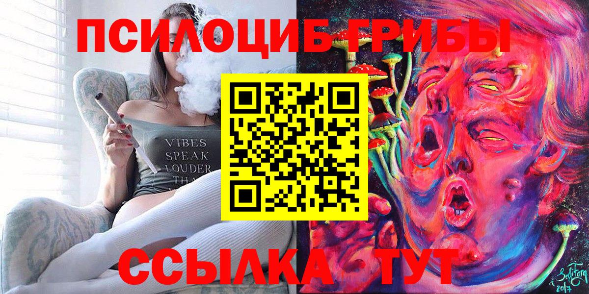 Галлюциногенные грибы Cubensis  Вход с VPN  Людиново 